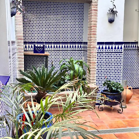 Shanti's Andalusian * Malaga