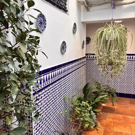 Shanti's Andalusian Affittacamere Málaga
